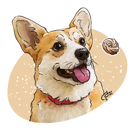 Corgi and custard