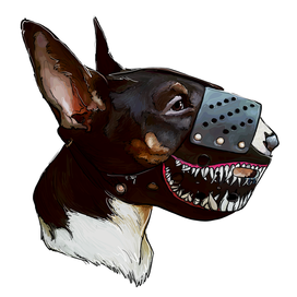 Bull Terrier in a muzzle