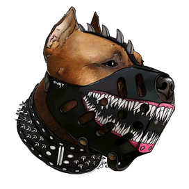 Pitbull in a muzzle