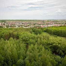 Ноксинский Лес Село Казань 