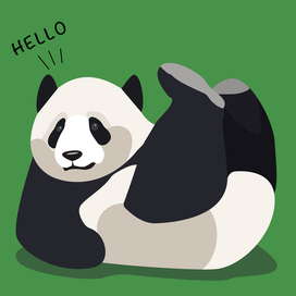 Cute Panda