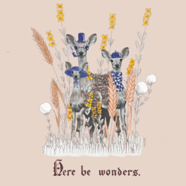 Here Be Wonders