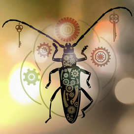 Mechanical beetle