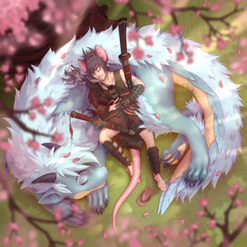 Sleep under the sakura