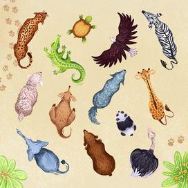 Animal illustrations for the Zookeeper game