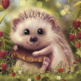 Hedgehog in the forest