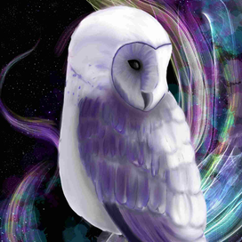 space owl