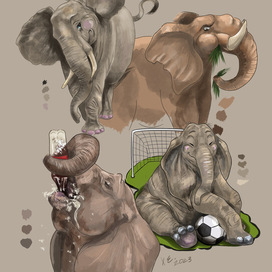 Elephants