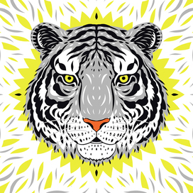 Tiger head illustration for t-shirt design