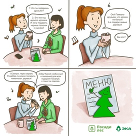 Ecocomics about a Christmas present