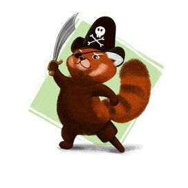 Character design  Red Panda Pirate