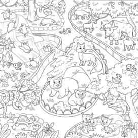 zoo coloring book