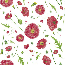 Red poppy pattern