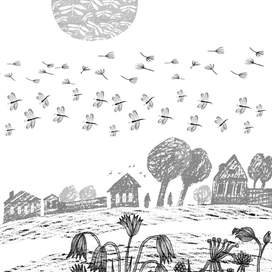 illustrations for the book