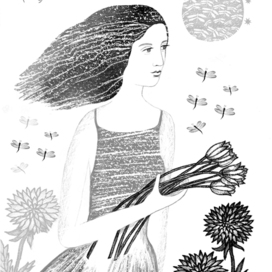 illustrations for the book