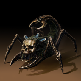 Skullspider. Chernobyl spider Kesha.