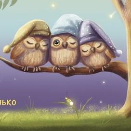 Cute little owls for children picture book