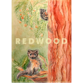 The inhabitants of Redwood