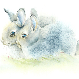 Watercolor bunny, gray rabbits