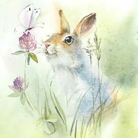 Hare, clover, butterfly