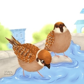 Sparrows