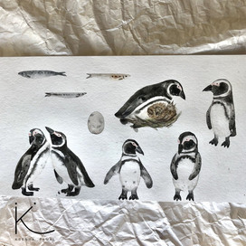 Watercolor pattern. The Spectacled Penguin