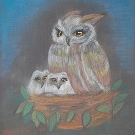 Owl with owls