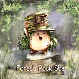 Forest rock star!