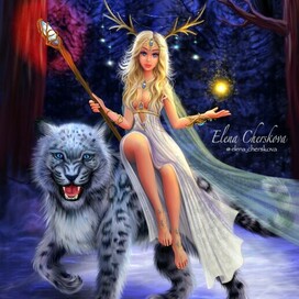 Fairy of the Winter Forest