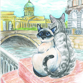 St. petersburg and cats