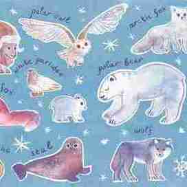 Тайга нон фикшен