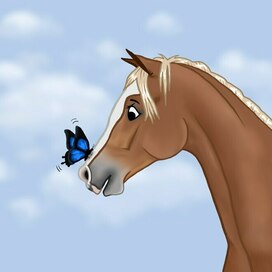 Horse and butterfly