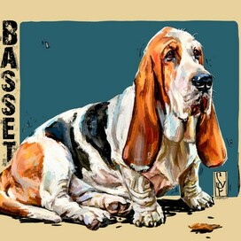 Basset