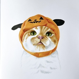 Cute pumpkin cat