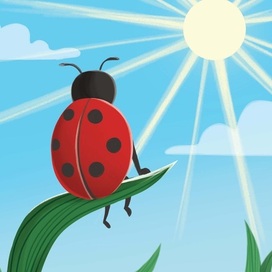 The bug looks at the sun