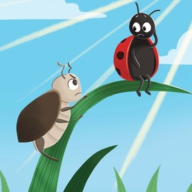 Beetle and bug