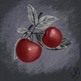 Cherry 🍒 