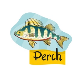 Perch