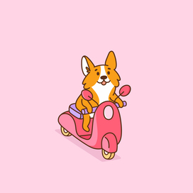 Corgi dog on moped