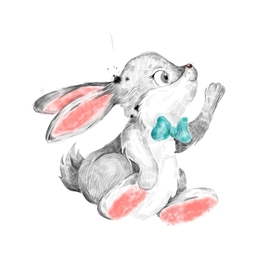 Rabbit 