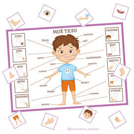 "My Body" velcro developmental game