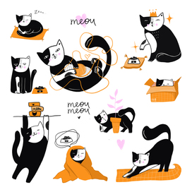 The day of the life of a cute cat, a set of stickers.