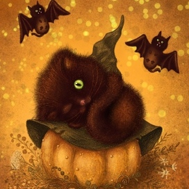 Halloween - flying cats