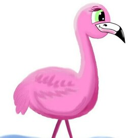 Flamingo, cute bird