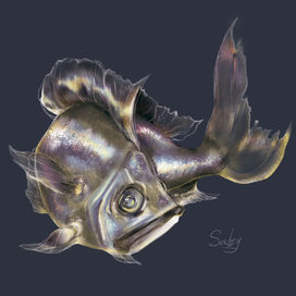 Fish