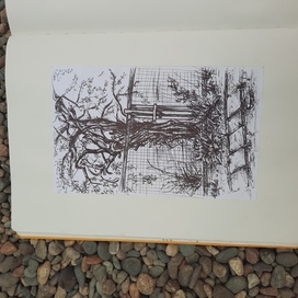 Sketch