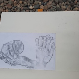 Sketch, arms