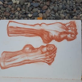 Feet
