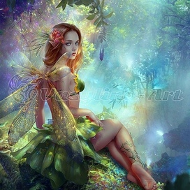 Fairy