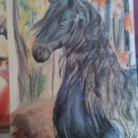 friesian horse